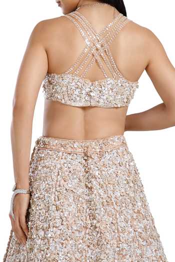 Mehar_Beige Net Sweetheart Neck Hand Embroidered Lehenga Set _Online