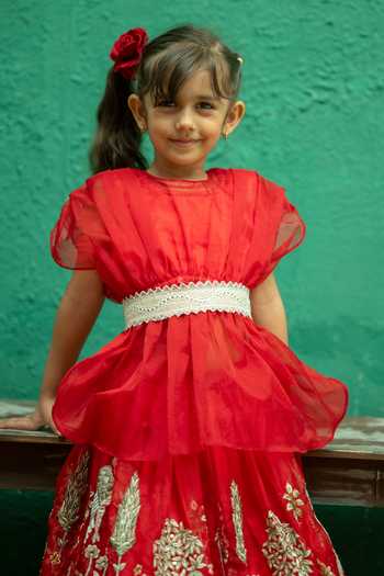 Rage Attire-Sweta Saria_Red Organza, Satin Flamingo Floral Embroidered Lehenga And Top Set _Online_at_Aza_Fashions