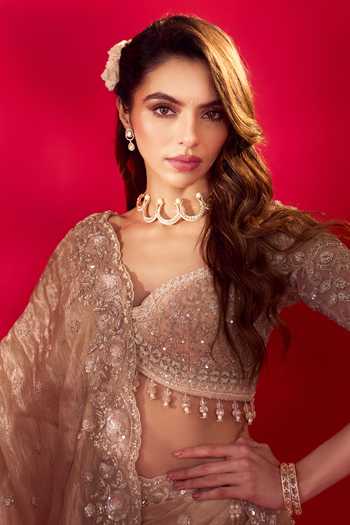 Azeera_Gold Tissue Rose Embroidered Saree With Unstitched Blouse Piece _at_Aza_Fashions