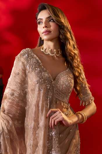 Azeera_Gold Tissue Rose Embroidered Saree With Unstitched Blouse Piece _Online