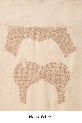 Azeera_Gold Tissue Surbhi Embroidered Saree With Unstitched Blouse Piece 