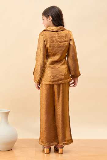 Shop_StyloBug_Brown Polyester Wrap Tie-up Top And Pant Set _at_Aza_Fashions