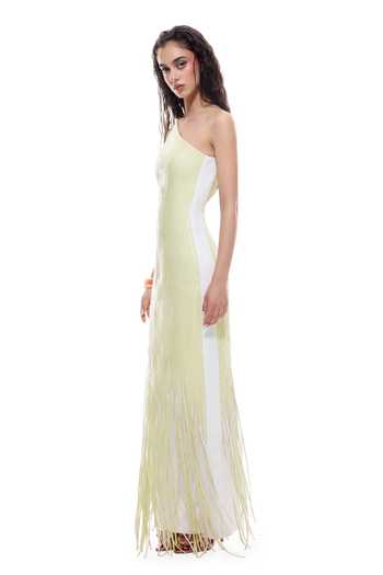 Sameer Madan_Green Crepe, Faux Leather, Jersey One Shoulder Averrhoa Bodycon Fringe Dress _Online_at_Aza_Fashions