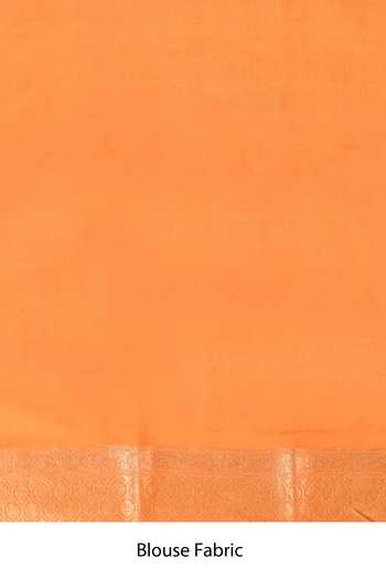 Vishwa By Pinki Sinha_Orange Silk Jaal Handwoven Saree With Running Blouse _at_Aza_Fashions