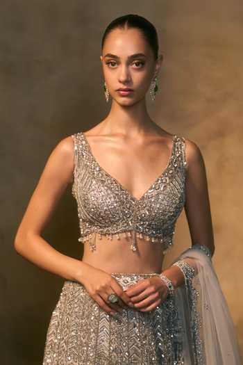 Shop_Angad Singh_Grey Net V-, Choker Argenta Crystal Embroidered Blouse Lehenga Set _Online_at_Aza_Fashions