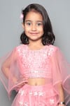 Shop Maaikid Pink Net, Silk Mirrors, Embroidery Lehenga Set Online at Aza Fashions Shop_Maaikid_Pink Net, Silk Mirrors, Embroidery Lehenga Set _Online_at_Aza_Fashions