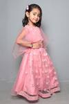 Maaikid Pink Net, Silk Mirrors, Embroidery Lehenga Set Online at Aza Fashions Maaikid_Pink Net, Silk Mirrors, Embroidery Lehenga Set _Online_at_Aza_Fashions