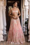 Shop_Basanti - Kapde Aur Koffee_Pink Georgette And Soft Net & Embroidery Floral & Sequin V Lehenga Set _at_Aza_Fashions