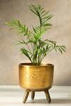 Shop_S. G. Home_Gold Metal Rustic Planter_at_Aza_Fashions