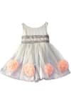 Shop_Pinkcow designs pvt ltd_Grey Net Embroidery Pompom Sequin And Embellished Dress _at_Aza_Fashions