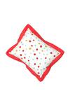 Shop_House This_The Babys Dayout Pillow Cover With Filler_at_Aza_Fashions