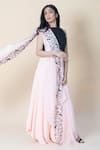 Shop_PIRI INDIA_Pink Organza, Georgette Border Embroidered Pre-draped Saree With Black Crop Top _at_Aza_Fashions