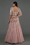 Shop_Payal Singhal_Pink Velvet Embroidered Floral Round And Organza Skirt Set _at_Aza_Fashions