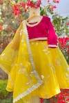 Shop_Tiny Pants_Yellow Organza And Velvet Embroidery Leaf Flower Vine Lehenga Set _at_Aza_Fashions