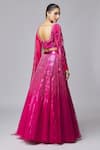 Shop_Amit Aggarwal_Fuchsia Tulle Embroidered Striped Boat Metallic Lehenga Set _at_Aza_Fashions