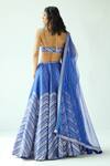 Priyal Prakash_Blue Silk, Net Zari, Sequins Plunge Neck Chevron Embroidered Lehenga Set _Online_at_Aza_Fashions