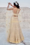 Shop_Nikita Vishakha_Yellow Modal, Mohair Zari, Embroidery, Metallic Thread Mesh Blouse Lehenga Set _at_Aza_Fashions