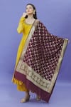 Shop Naintara Bajaj Wine Brocade Embroidery Woven Fringe Hem Dupatta at Aza Fashions Shop_Naintara Bajaj_Wine Brocade Embroidery Woven Fringe Hem Dupatta _at_Aza_Fashions