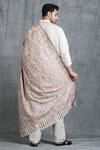 Shop_DUSALA_White Handwoven Cashmere Fine Wool Kani Design Stole _at_Aza_Fashions