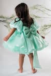 Shop_Lil Angels_Green Organza Embroidered Floral Dress _at_Aza_Fashions