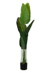 Shop_H2H_Green Polyester And Plastic Artificial Banana Plant _at_Aza_Fashions