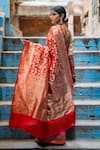 Shop_TaBa Kashi By Artika Shah_Red Katan Silk Woven Animal Handloom Shikargah Jaal Saree  _at_Aza_Fashions