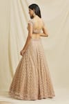 Shop_Shlok Design_Beige Net Embellished Crystal Sweetheart Neck Floral Jaali Lehenga Set _at_Aza_Fashions