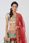 Shop_Geisha Designs_Multi Color Brocade Lehenga Set _Online_at_Aza_Fashions