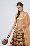 Shop_Geisha Designs_Multi Color Brocade Lehenga Set _Online_at_Aza_Fashions