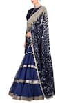 Rabani & Rakha_Blue Net Embellished Lehenga Saree_Online_at_Aza_Fashions