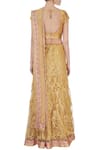 Shop_Bhairavi Jaikishan_Gold Zardozi Saree With Blouse And Petticoat_at_Aza_Fashions