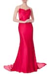Buy_Saisha Shinde_Pink Backless Gown _at_Aza_Fashions