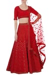 Buy_Rimzim Dadu_Red Silk, Cotton Chanderi And Net 3d Embroidered Lehenga Set_at_Aza_Fashions