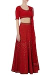 Rimzim Dadu_Red Silk, Cotton Chanderi And Net 3d Embroidered Lehenga Set_Online_at_Aza_Fashions