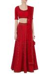 Shop_Rimzim Dadu_Red Silk, Cotton Chanderi And Net 3d Embroidered Lehenga Set_Online_at_Aza_Fashions