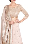 Nakul Sen_Pink Chiffon Embellished Lehenga Set_Online_at_Aza_Fashions