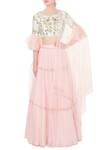 Buy_Mani Bhatia_Pink Round Embroidered Lehenga Set For Women_at_Aza_Fashions