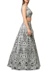 Reeti Arneja_Steel Grey Embroided Net Lehenga And Shantoon Blouse._Online_at_Aza_Fashions