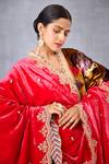 Torani_Pink Velvet And Crepe Print & Ruh Gulaabi Mushira Doshala  _Online_at_Aza_Fashions