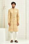 Rajesh Pratap Singh_Beige Viscose Textured Sherwani _Online_at_Aza_Fashions