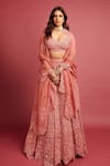 Buy_Torani_Pink Handwoven Chanderi Silk Organza Lehenga_at_Aza_Fashions