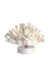 H2h_White Ceramic Faux Coral Sculpture_Online_at_Aza_Fashions