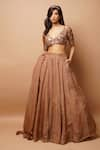 Ahi Clothing_Gold Heavy Organza Hand Embroidered Zari V Neck Blouse Lehenga Set _Online_at_Aza_Fashions