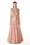 Rabani & Rakha_Pink Net Embroidery Sequin V Neck Adah Gown  _Online_at_Aza_Fashions