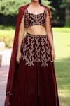 Tarini Vij_Maroon Blouse And Lehenga Velvet, Dupatta Georgette Zari Hand Embroidered Set _Online_at_Aza_Fashions