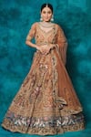 mehar_Brown Net Hand Embroidery Sequin V Birds And Floral Bridal Lehenga Set _Online_at_Aza_Fashions