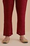 Ikshita Choudhary_Red Chanderi Printed Polka Dot V Neck Foil Cross Yoke Anarkali Pant Set_Online