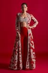 Bhumika Sharma_Net Ambi Jaal Embroidered Jacket And Sharara Set_Online_at_Aza_Fashions