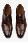 Shop_Bridlen_Brown Wingtip Derby Shoes  _at_Aza_Fashions