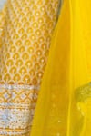 Shop_Tiny Pants_Yellow Georgette Embroidered Chikankari Blouse Lehenga Set _Online_at_Aza_Fashions